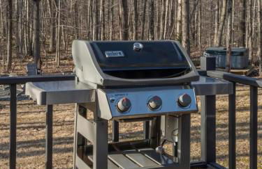 Chic Cabin with Hot Tub and Fire Pit - Foto 33