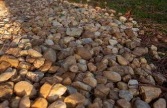 Pine Forest Zen Cottage - 10 Min to Fort Bragg - Foto 31