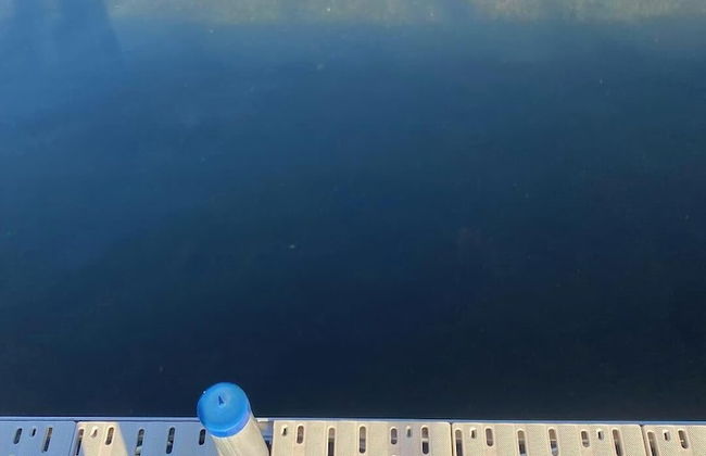 Twin Pines - Foto 43