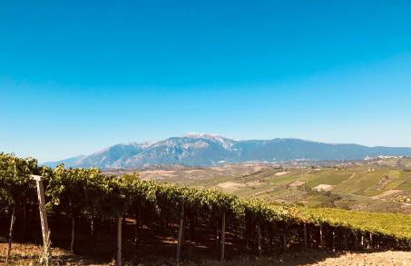 Casa Trastulli - Foto 23