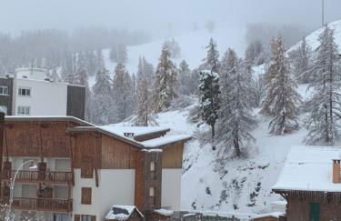 Val d'Azur Plein sud Face aux Pistes - Foto 13