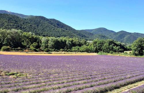 Maison dans parc arboré - Foto 11