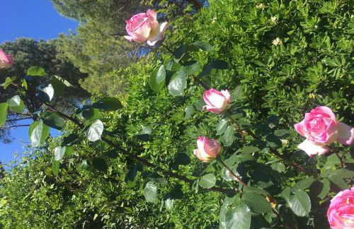 Villa Betty - Foto 10