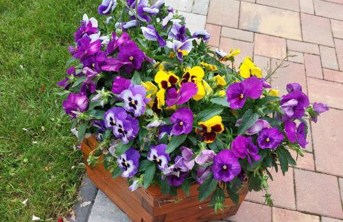 Apartamenty Pod Magnolią - Foto 38