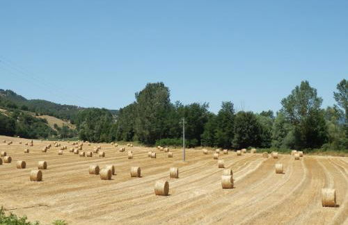 Alluring Farmhouse in Ortignano With Swimming Pool - Foto 16