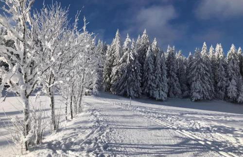 Lush Apartment in Furtwangen near Black Forest with Balcony - Foto 70