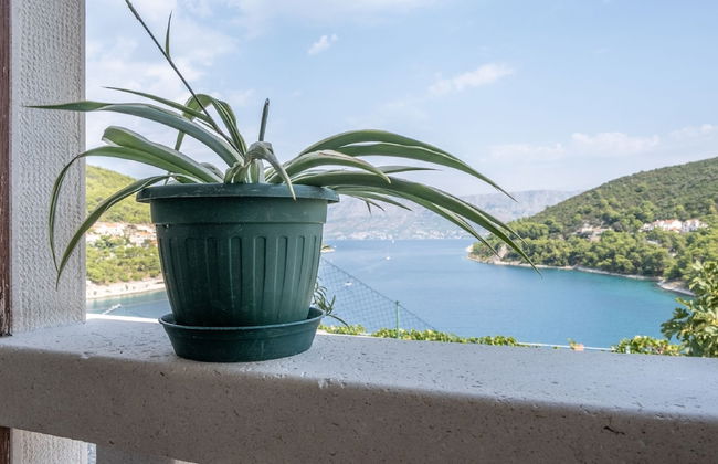 Apartments Darija - Foto 50