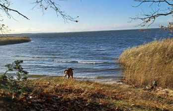 Ferienwohnung SEA - Foto 39