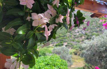 Emma's HOUSE near beach - Foto 23