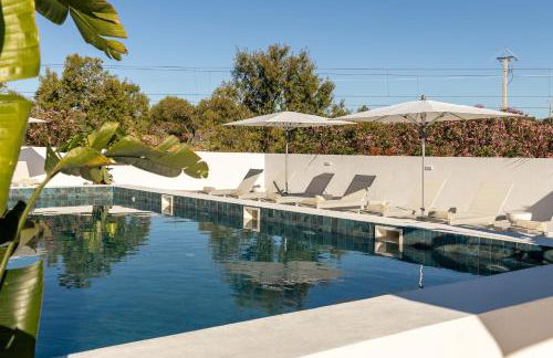 Estudios Salinas - Fuseta - Foto 1