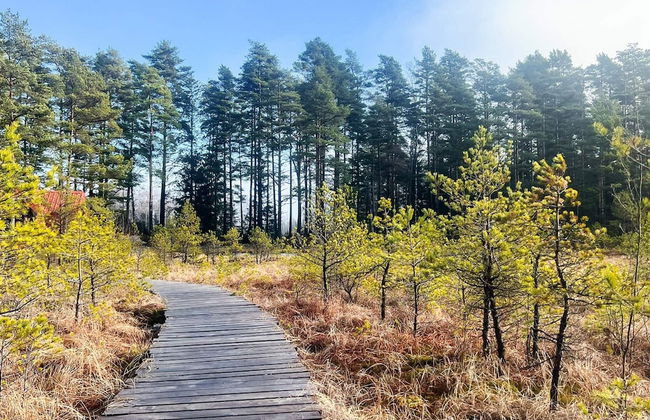 7 Person Holiday Home in Forsheda-by Traum - Foto 10