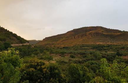 Ca'n Josep - Foto 27