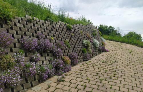 Villa Fiorita - Photo 16