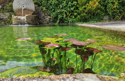 Rilhadas Casas de Campo - Foto 63