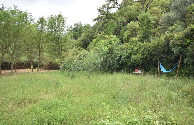 Quiet & Cottage in Estate Casas da Cerca near Troviscais - Foto 15