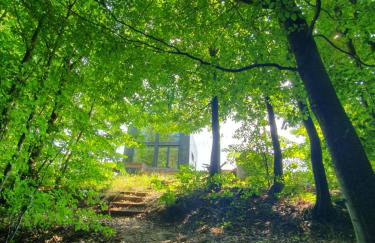 Schody do wody Domek z linią brzegową Kaszuby sauna goraca balia - Foto 59