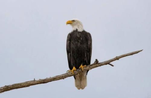 Waterfront 2 Bdrm Cabin with Best Sunset View and Huge Yard - Foto 1