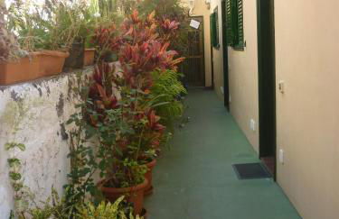 Bella Vista - Foto 19