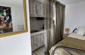 CAP AZUR ILE du LEVANT - Foto 12