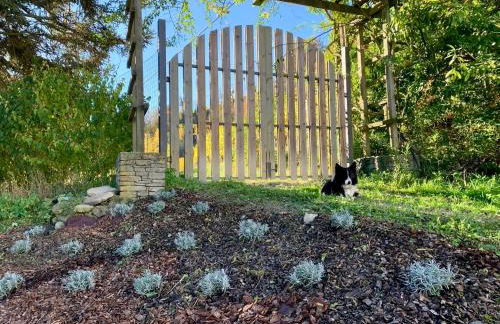 Agriturismo Marcarini - Foto 70