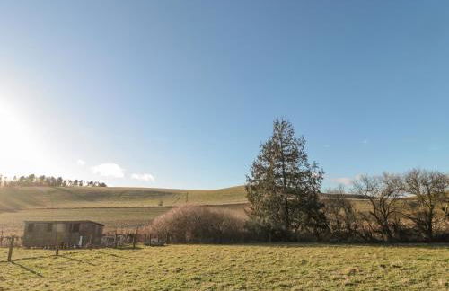 Cherry Studio - Foto 23