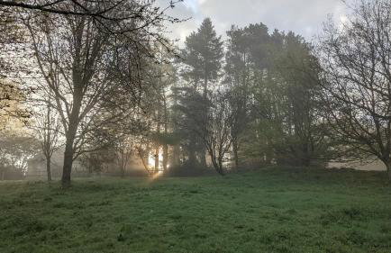 Hayloft studio in historic barn - Photo 13