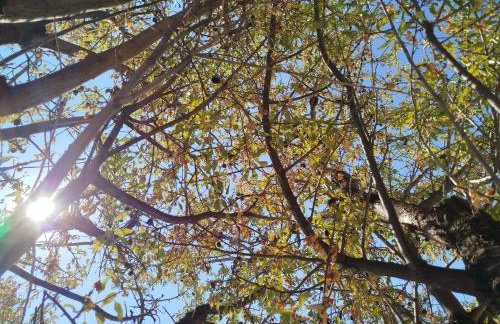 Nereids Apartments-Pronoe - Foto 44