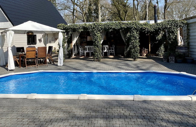 Villa in Drents-friese Forest With Pool - Foto 1