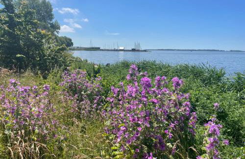 Ferienhaus Biedermann - Foto 17