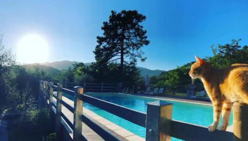 Agriturismo Il Pino - Foto 4