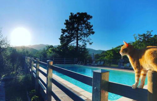 Agriturismo Il Pino - Foto 4