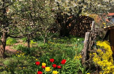 Ferienwohnungen Ries - Photo 10