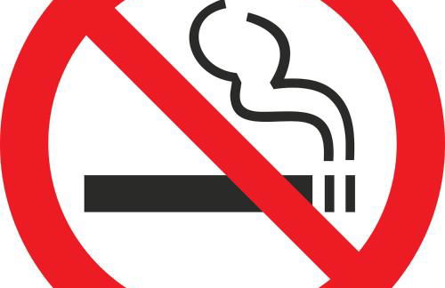 Toms Herberge - Foto 29