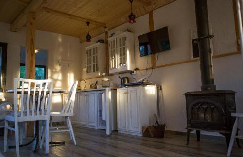 Wiejski Dom - Foto 9