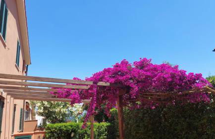 Cala Azzurra apartment - Foto 6