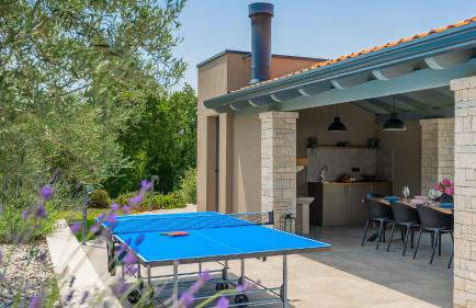 Modern villa Lukas with pool in Vizinada - Foto 6