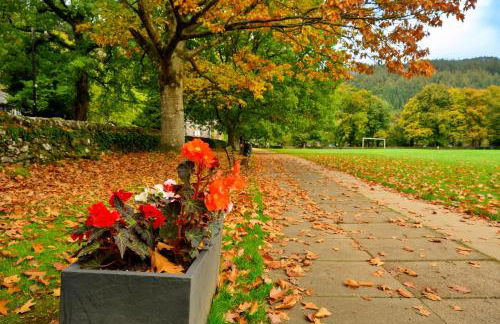 Finest Retreats - Bod Gwynedd - Foto 28