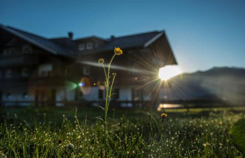 Alpenhaus Steiner - Top-Ferienwohnungen - Sommer-Bergbahn inklusive - Foto 6