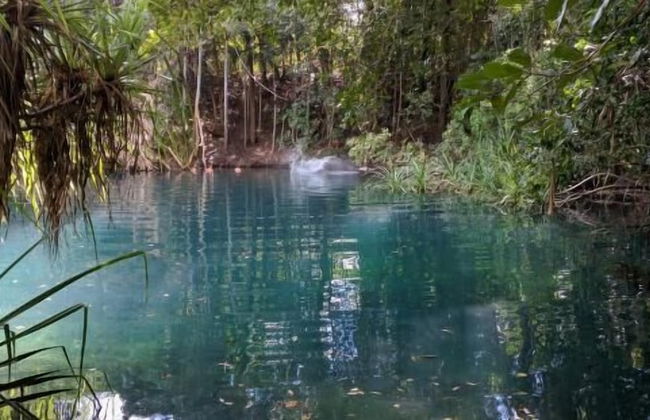 Berry Creek Bush Retreat - Foto 24