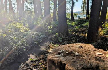 Modern bungalow with direct lake access and fireplace - Photo 15