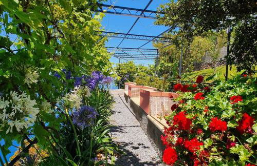 Ocean View Madeira 3 - Ponta do Sol - Foto 13