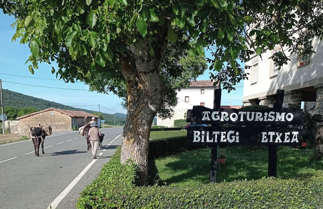 Biltegi Etxea - Foto 35