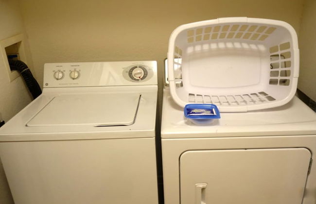 Windsor_palms_303cp-n - Foto 13