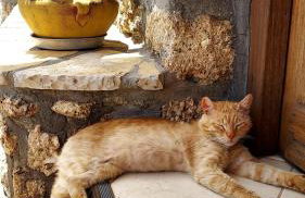 Three Hearts - Foto 57