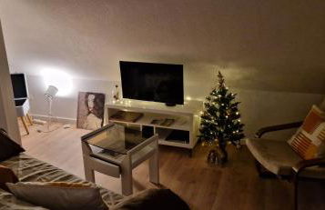 Au pieds du vignoble Colmarien - Foto 25