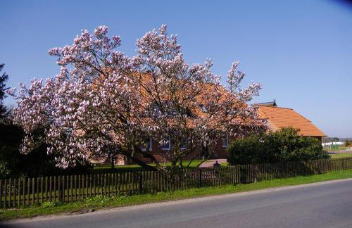 Landhaus Pakirnis - Ferien in der Elbtalaue - - Foto 6