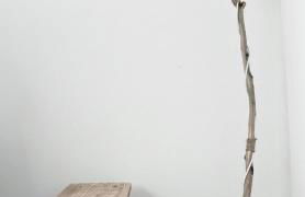 M Butterfly - Foto 62