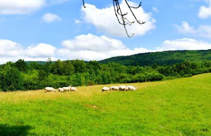 Natura hause - Foto 70