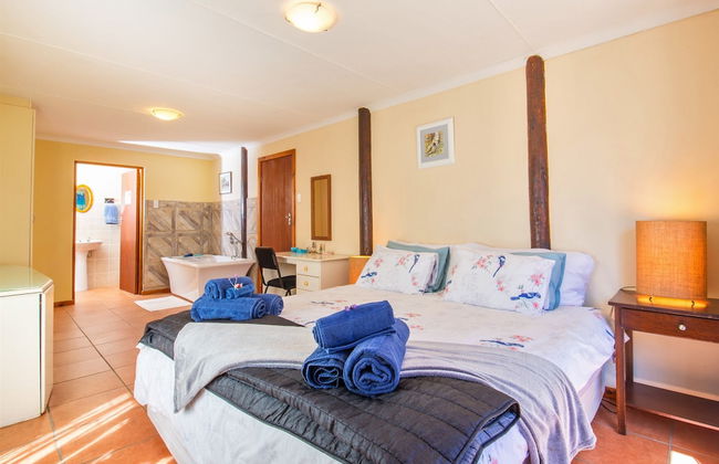 Experience Nature at Brenton on Sea With Breakers Dolphins and Whales - Foto 12