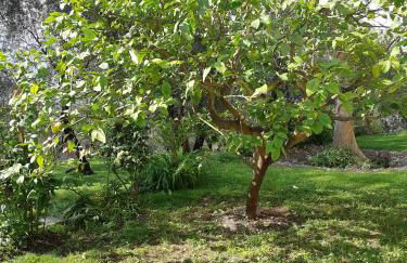 Casa Vacanze Ester - Foto 23